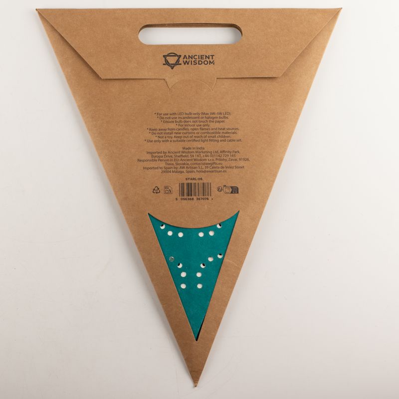 Étoile Lumineuse - Green Festival - 5 branches - 60 cm