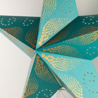 Étoile Lumineuse - Green Festival - 5 branches - 60 cm