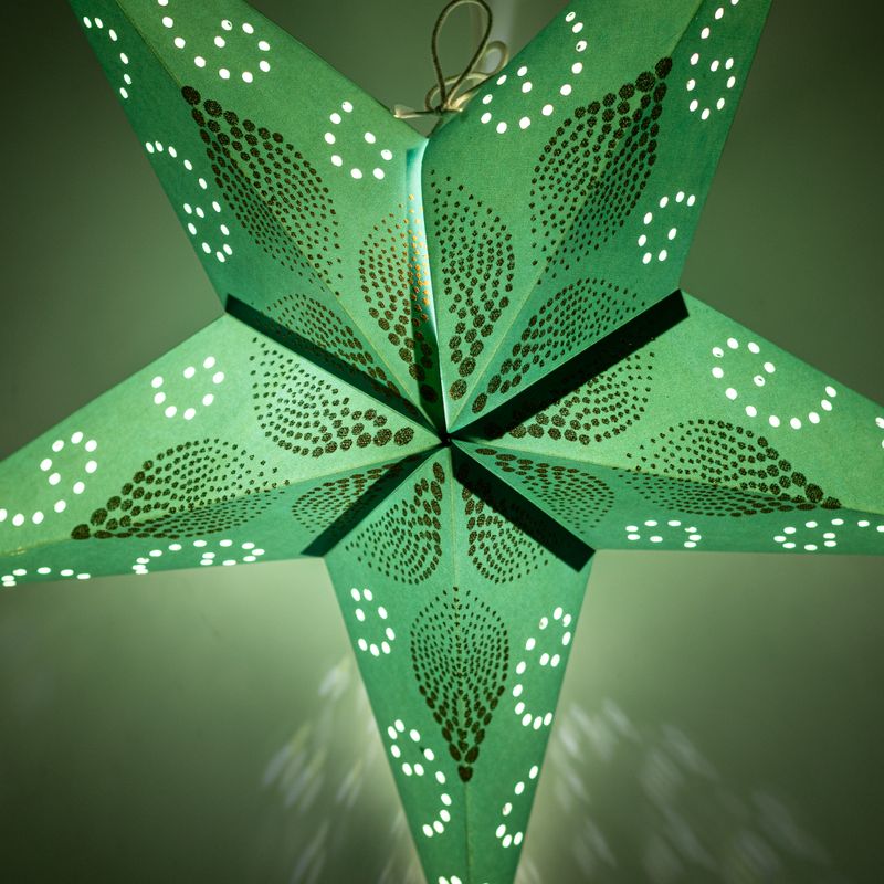 Étoile Lumineuse - Green Festival - 5 branches - 60 cm