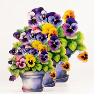 Plantes d'Intérieur en Bois - Pensée Moyenne