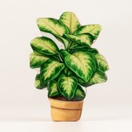 Plantes d'Intérieur en Bois - Mini Jungle