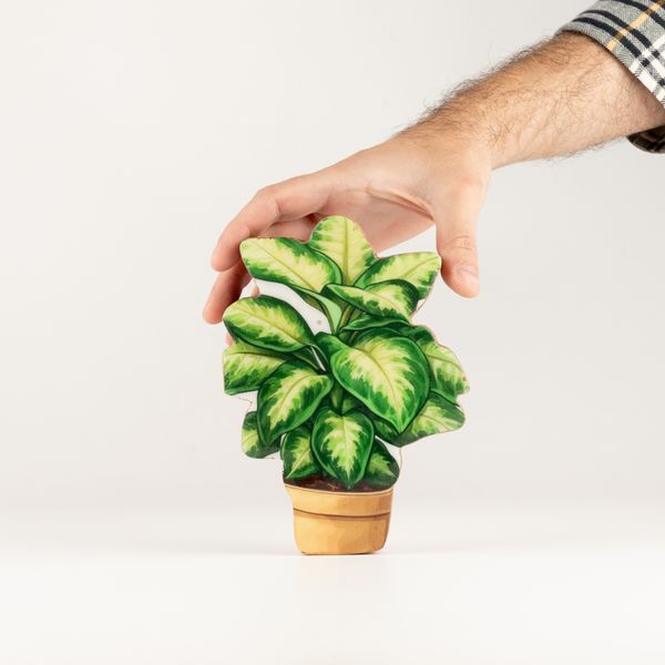 Plantes en Bois - Mini Plante Jungle