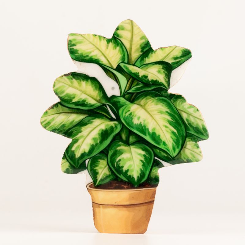 Plantes d'Intérieur en Bois - Plante de Jungle Moyenne