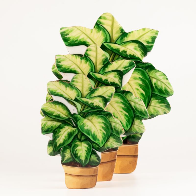 Plantes d'Intérieur en Bois - Plante de Jungle Moyenne