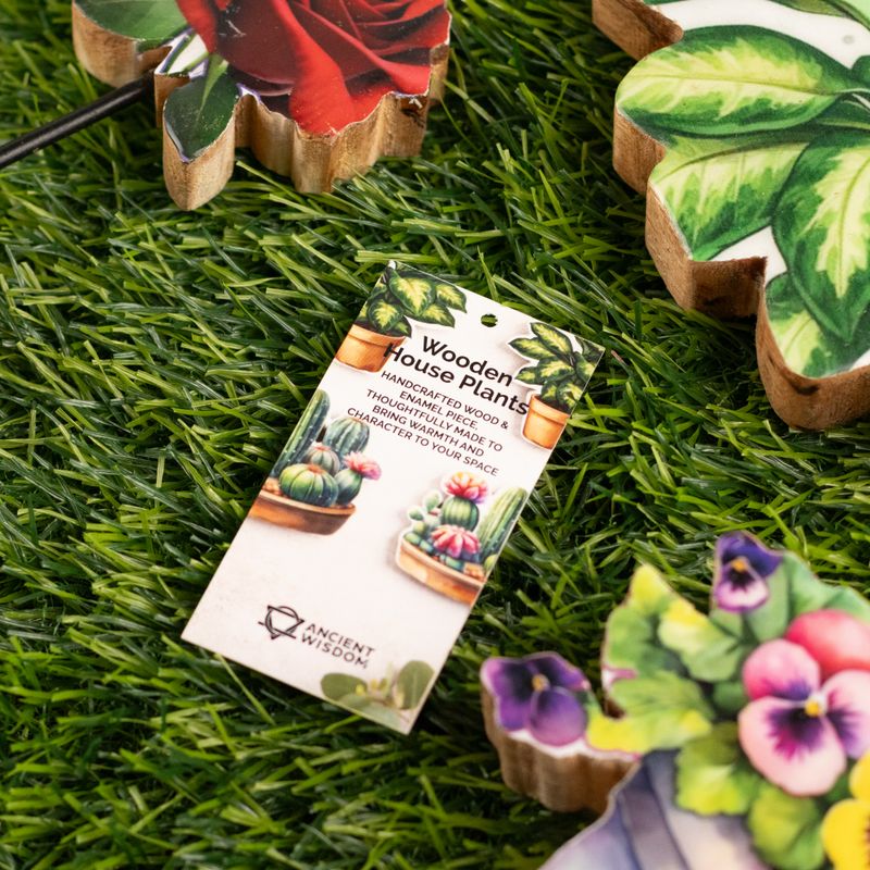 Plantes d'Intérieur en Bois - Plante de Jungle Moyenne