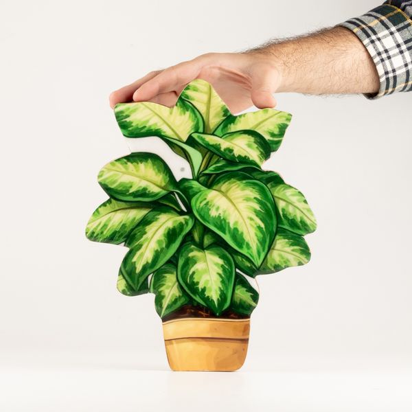 Plantes en Bois - Grande Pensée