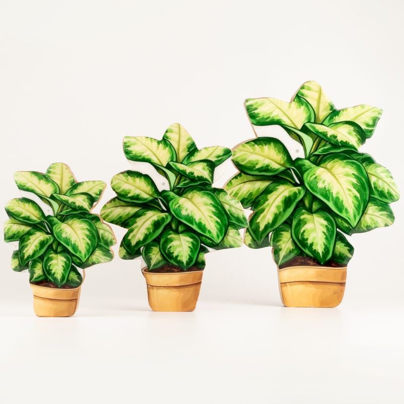 Plantes d'Intérieur en Bois - Grande Pensée