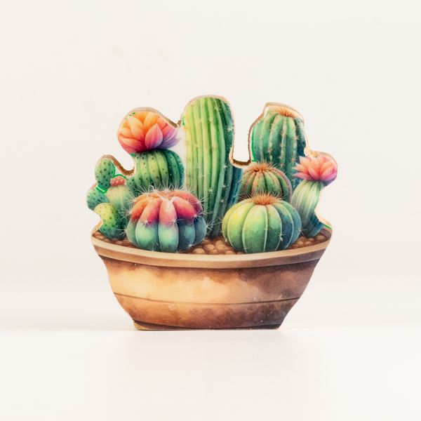 Plantes en Bois - Mini Jardin de Cactus