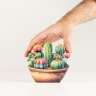 Plantes d'Intérieur en Bois - Mini Jardin de Cactus