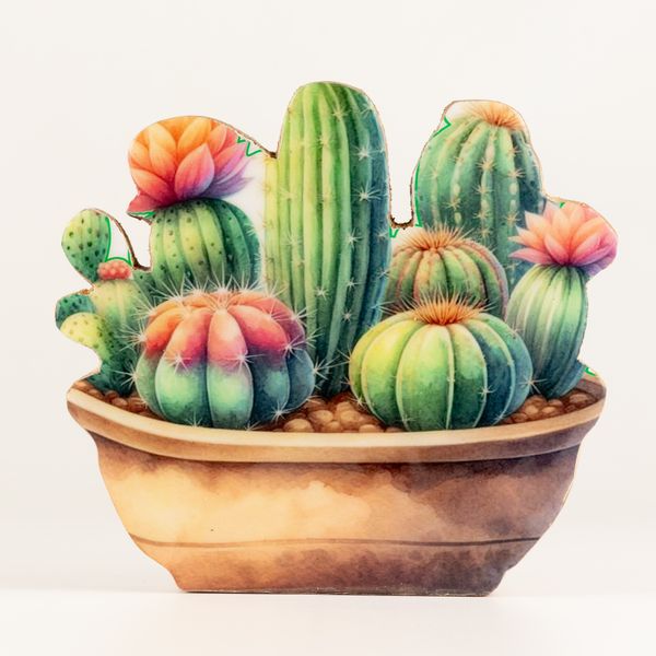 Plantes en Bois - Jardin de Cactus Moyen