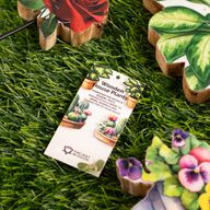 Plantes d'Intérieur en Bois - Mini Rose Unique