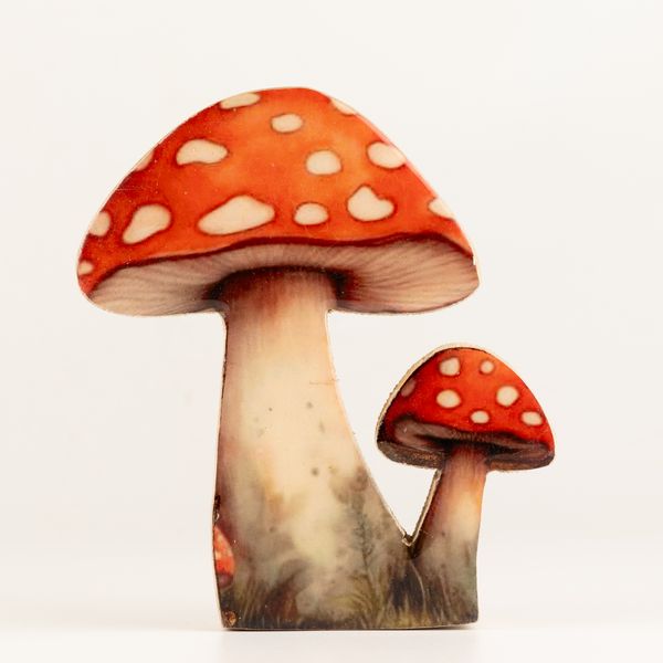 Plantes en Bois - Champignon à Chapeau Rouge Moyen