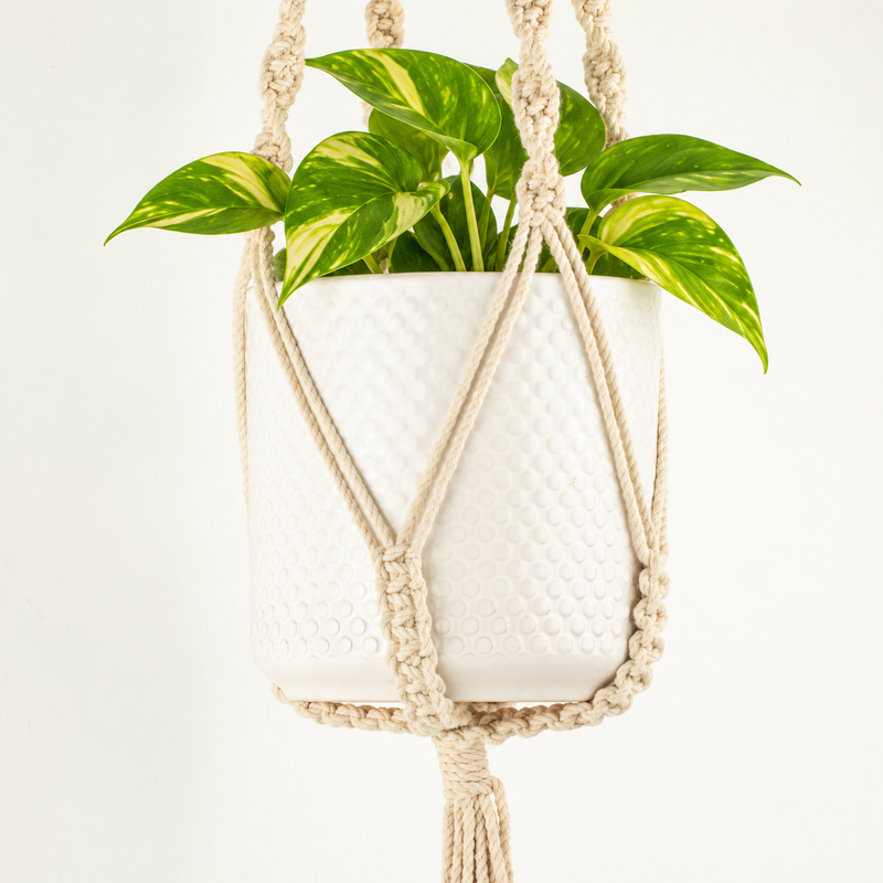 Suspension Macramé Simple pour Pot de Fleurs - Naturel