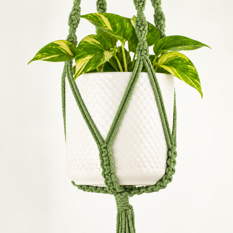 Suspension pour Plante en Macramé Simple - Vert