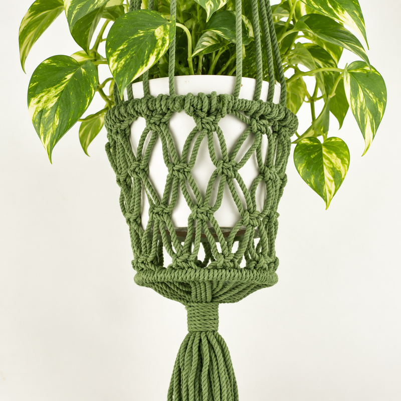 Suspension pour Plante en Macramé - Vert