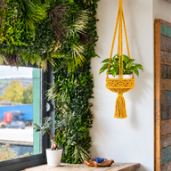 Grand Porte-Plante en Macramé - Moutarde