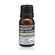 Huile Essentielle 10ml - Eucalyptus