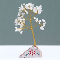 Arbres à gemme d'Inde Cristal de roche - 80 Pierres