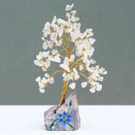 Arbres à gemme d'Inde Cristal de roche - 160 Pierres
