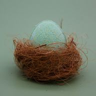 Oeuf de bain - 45g Mangue