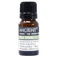 Arbre à Thé - Huile Essentielle Bio 10ml