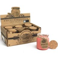 Bougies en pot à la cire de soja - Rose de minuit