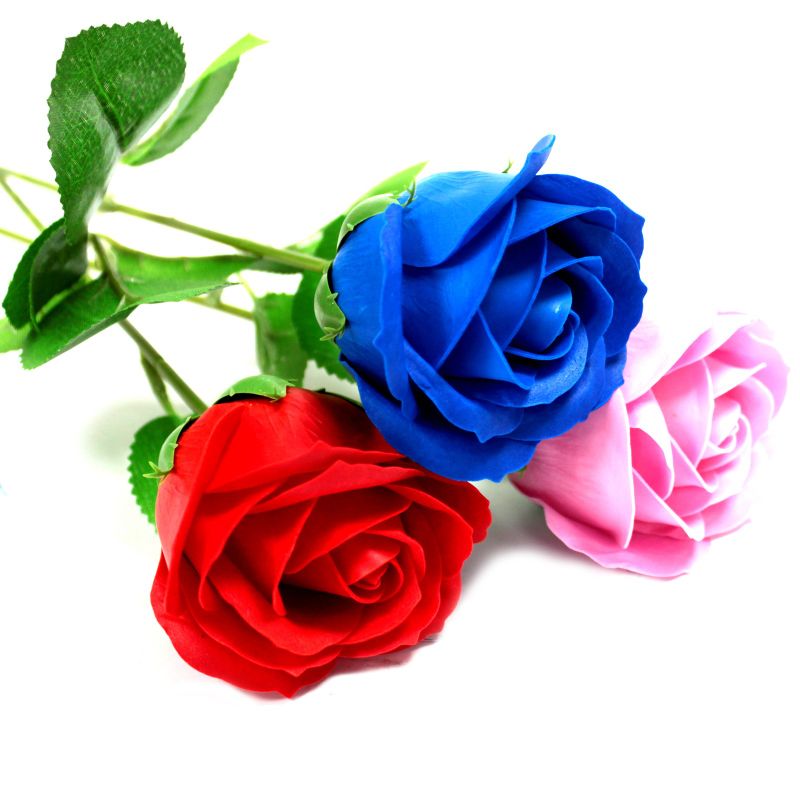 Rose Unique - Rose