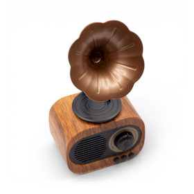 Mini Gramophone Rétro - Bluetooth & Radio FM - 5 watts x 1
