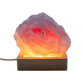 3x Socle LED USB Carré en Bois 8 cm – Blanc Froid/Chaud/Jour