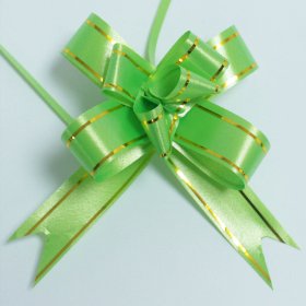 20x Mini Nœud magique - Citron vert (paquet de 10)