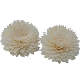 12x Diffuseurs Naturels Fleurs - Gd Œillet Corde