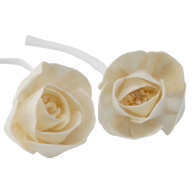 12x Diffuseurs Naturels Fleurs - Gd Rose Corde