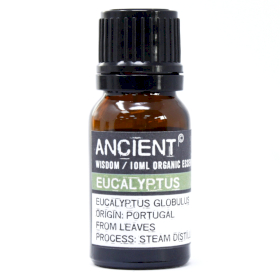 Eucalyptus - Huile Essentielle Bio 10ml