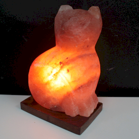 Lampe en cristal de Sel de l’Himalaya Édition Animaux - Chat