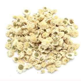 Camomille romaine (fleur) 1Kg