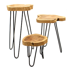 Ensemble de 3 Supports pour Plantes en Bois de Gamell - Naturel