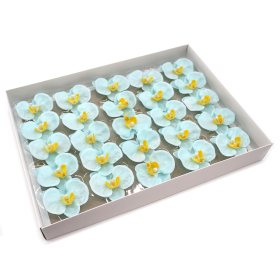 25x Pivoine de Savon pour Bouquet - Bleu