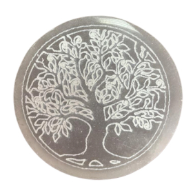 Petite Plaque de Sélénite 8cm - Arbre de Vie