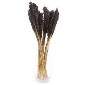 6x Bouquet d\'Herbe de Cantal - Noir