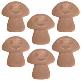 40x Fondants en Cire Naturelle -  Gingembre