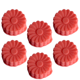 36x boite de Fondants de Cire Naturelle en Vrac - Pastèque Fraîche