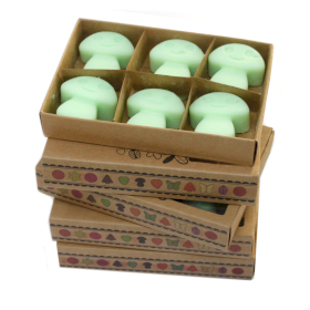 5x Boites de 6 fondants de Cire - Réglisse
