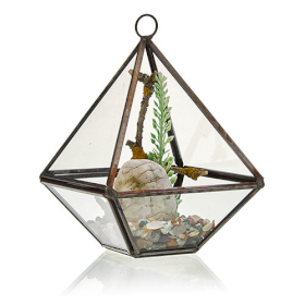 Terrarium en Verre - Petit Losange