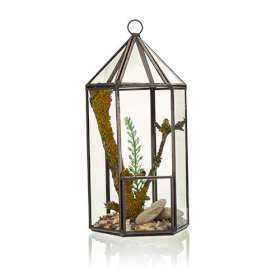 Terrarium en Verre - Forme Lanterne