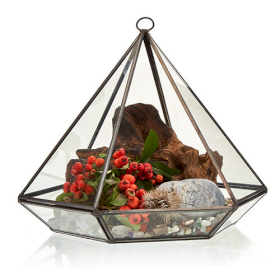 Terrarium en Verre  - Grand Losange