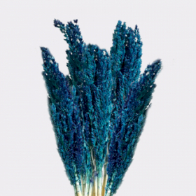 6x Bouquet d\'Herbe de Cantal - Bleu