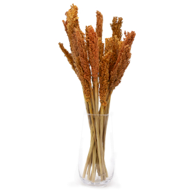 6x Bouquet d\'Herbe de Cantal - Orange