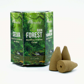 12x Pack de 10 Encens Masala Backflow - Forêt Tropicale