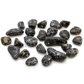 24x Petites pierres roulées africaines - Pintade