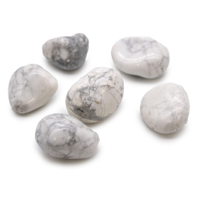 6x Grandes pierres africaines roulées - Howlite blanche - Magnésite